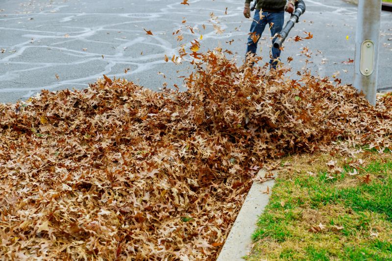 Leaf Removal Equipment in Action