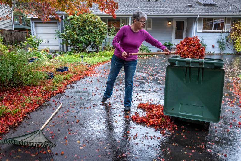 Lawn Debris Being Raked